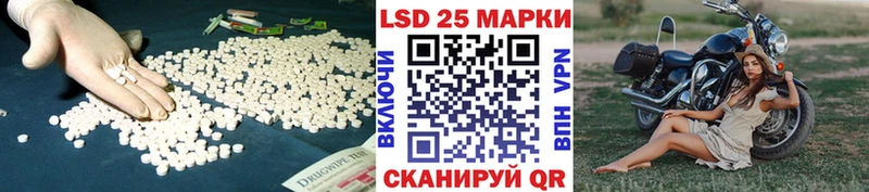darknet наркотические препараты  Суздаль  Лсд 25 экстази кислота  закладка 