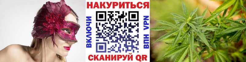 Бошки марихуана Ganja  KRAKEN tor  Суздаль  цены  